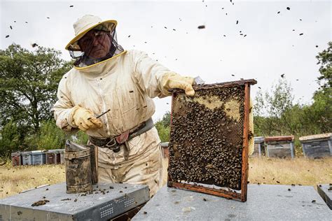Beekeepers natural. Things To Know About Beekeepers natural. 
